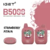 Strawberry Pitaya – IGET B5000