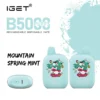Mountain Spring Mint – IGET B5000